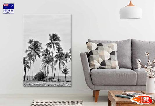 Coconut Palm Trees near Sea B&W Photograph 60x90cm Print 100% Australian Made