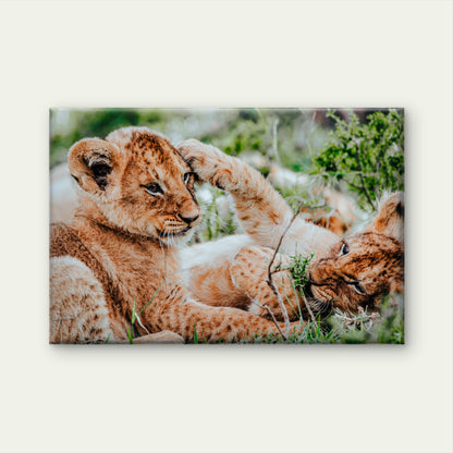 Lion Cubs Playing African Wildlife Nature Wall Art Decor 100% Australian Made