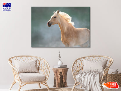 White Lusitano Horse in Movement Print 100% Australian Made