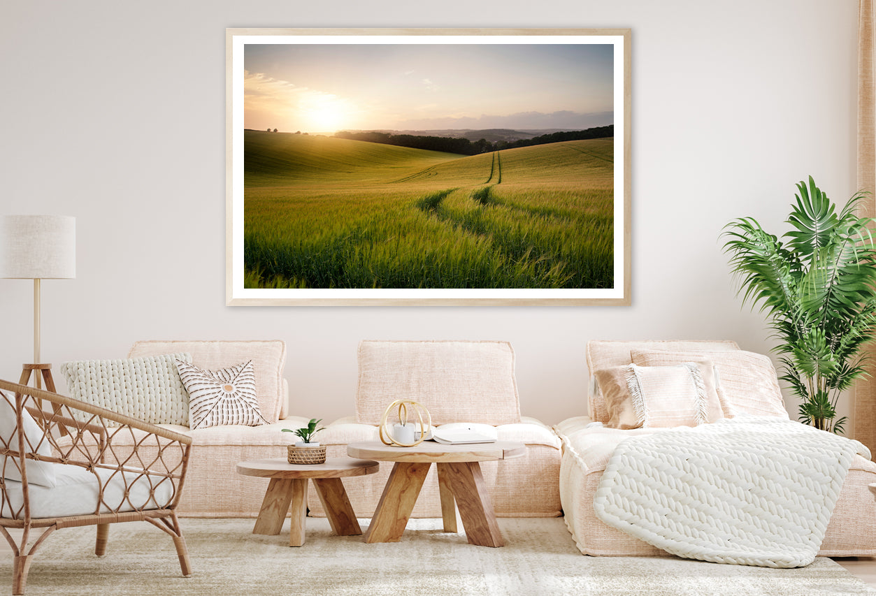 View of a Grassy Field with a Sun, Sky & Plants Home Decor Premium Quality Poster Print Choose Your Sizes