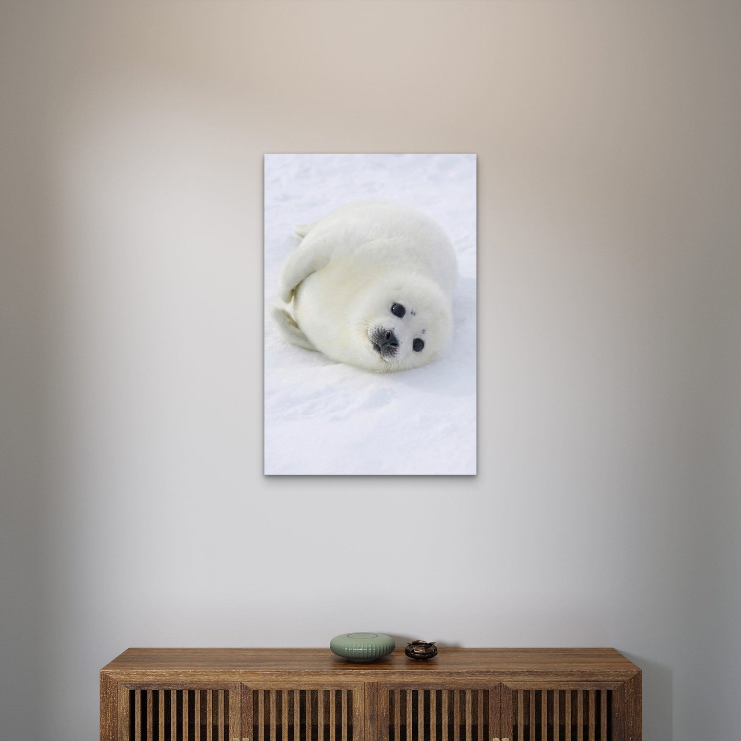 Baby Harp Seal Arctic 60x90cm Metal Print Ready to Hang