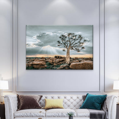 Quiver Tree at Striking Sunset Desert Keetmanshoop Namibia Wall Art Decor 100% Australian Made