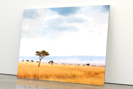 Kenya Open Field with Elephants Africa Acrylic Glass Print Tempered Glass Wall Art 100% Made in Australia Ready to Hang