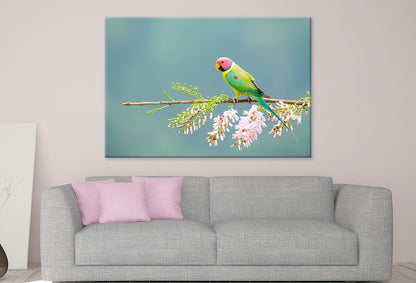 Plum-Headed Parakeet Feeding Wall Art Decor 100% Australian Made - Bella Home Decor
