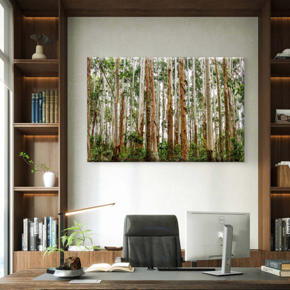 Brazilian Forest Eucalyptus Trees Wall Art Decor 100% Australian Made
