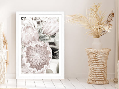 Protea Flowers Closeup Faded Photograph Glass Framed Wall Art, Ready to Hang Quality Print With White Border White