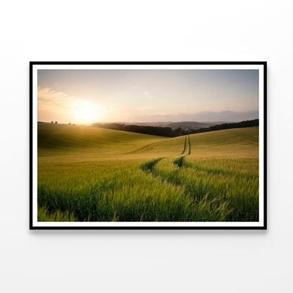 View of a Grassy Field with a Sun, Sky & Plants Home Decor Premium Quality Poster Print Choose Your Sizes