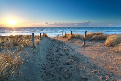 Path On Sand to Ocean Beach at Sunset, Netherlands Acrylic Glass Print Tempered Glass Wall Art 100% Made in Australia Ready to Hang