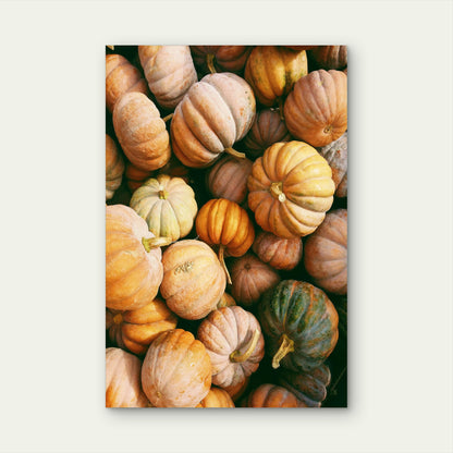 Pile of Pumpkins and Squash 60x90cm Metal Print Ready to Hang