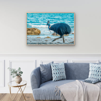 Southern Cassowary Striding Along the Sandy Beaches of Etty Bay, Queensland Wall Art Decor 100% Australian Made