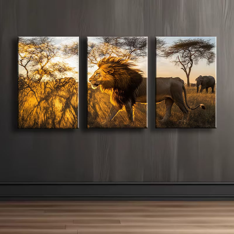 3pcs Majestic Lion Illustration Wall Art Set Canvas Framed 40x60cm - High Quality Print 100% Australian Made Wall Canvas Ready to Hang