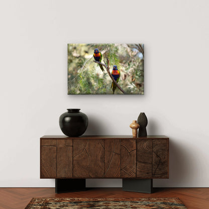 Rainbow Lorikeet Bright Plumage Australia Wall Art Decor 100% Australian Made