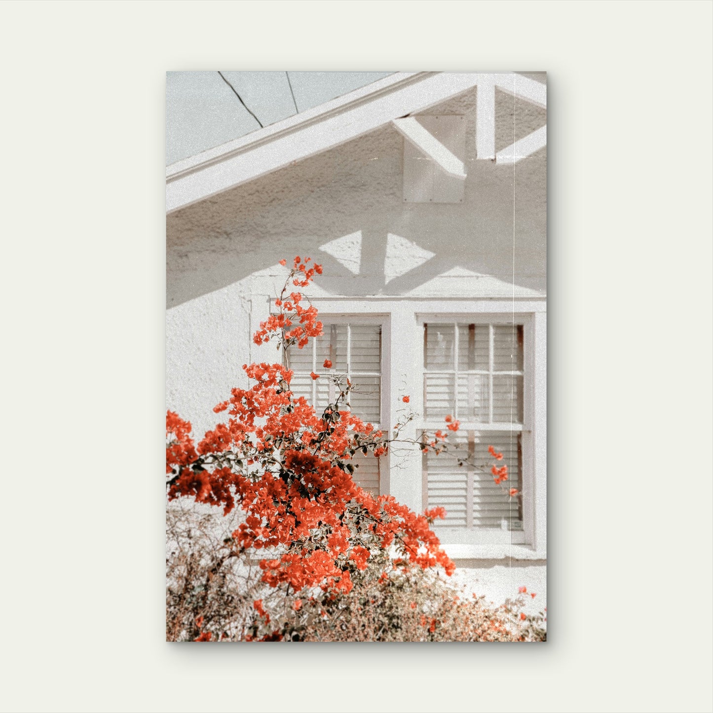 Flowering Quince by White House 40x60cm Metal Print Ready to Hang