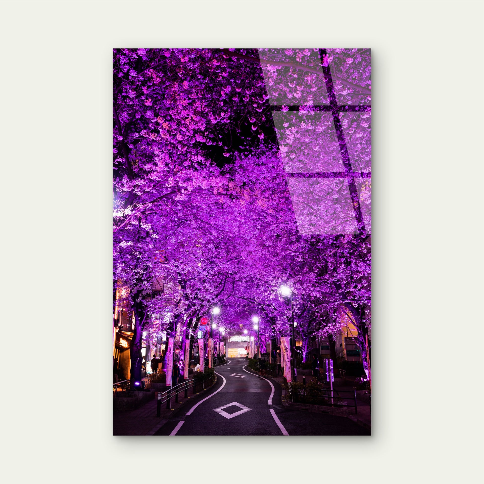 Cherry Blossoms Tokyo City Acrylic Glass Printing Wall Art Australian Made Quality
