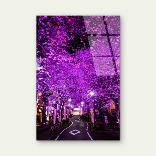 Cherry Blossoms Tokyo City Acrylic Glass Printing Wall Art Australian Made Quality