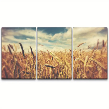 3pcs Vintage Golden Wheat Field Canvas  Metal Print Ready to Hang Art