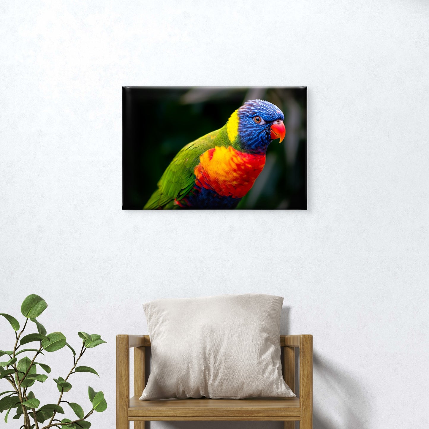 Outstanding Wild Rainbow Lorikeet Crucial Ecological Avian Species Australia  Wall Art Decor 100% Australian Made
