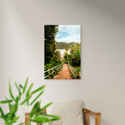 Path Leading Down To A Tropical Beach 40x60cm Metal Print Ready to Hang