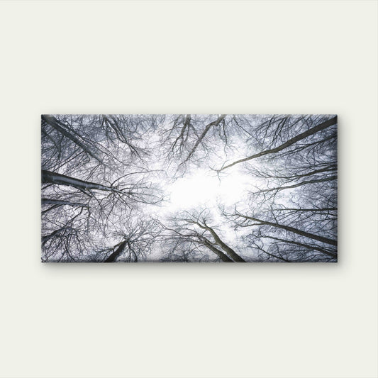 Bare Trees Sky Landscape Wall Art Canvas Office Home Room Framed 120x60cm