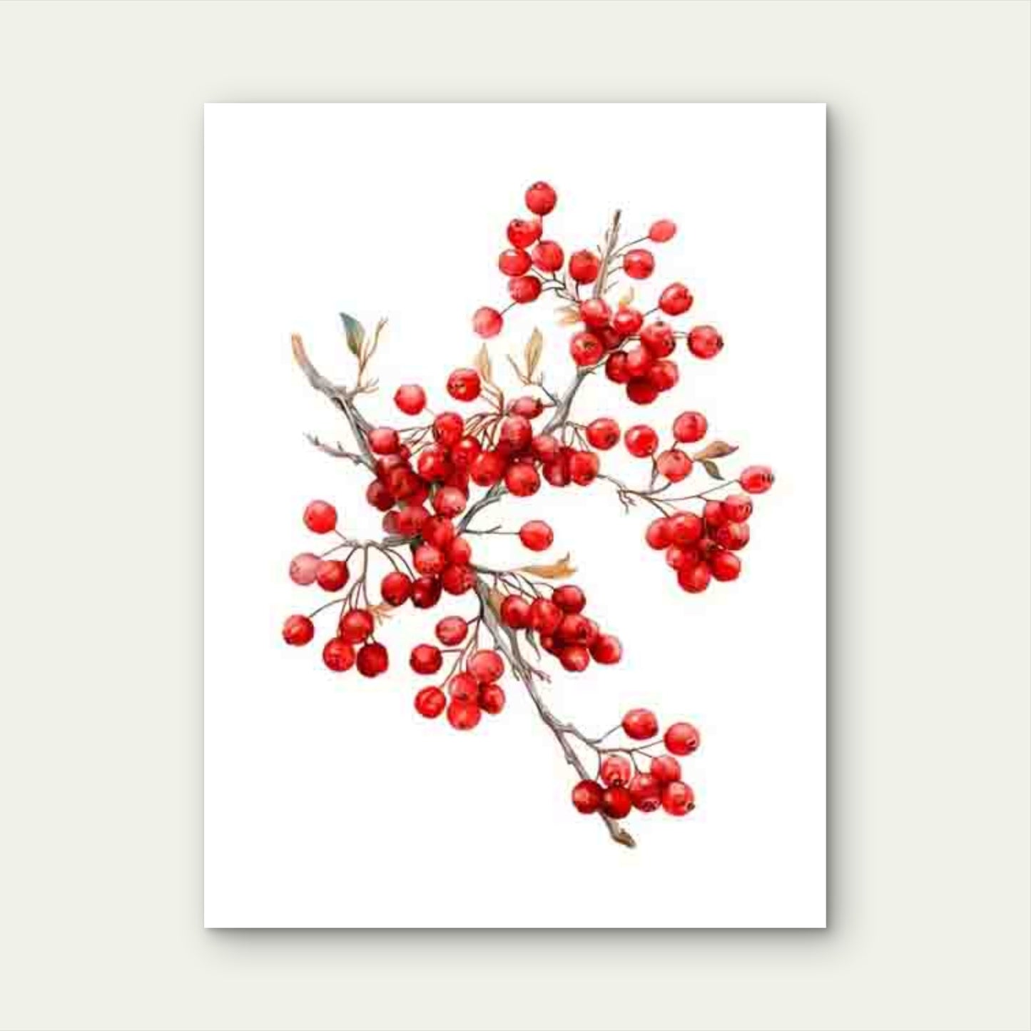 Red Berry Branch Holly Stylish Botanical Metal 40x60cm Print Ready to Hang - Bella Home Decor