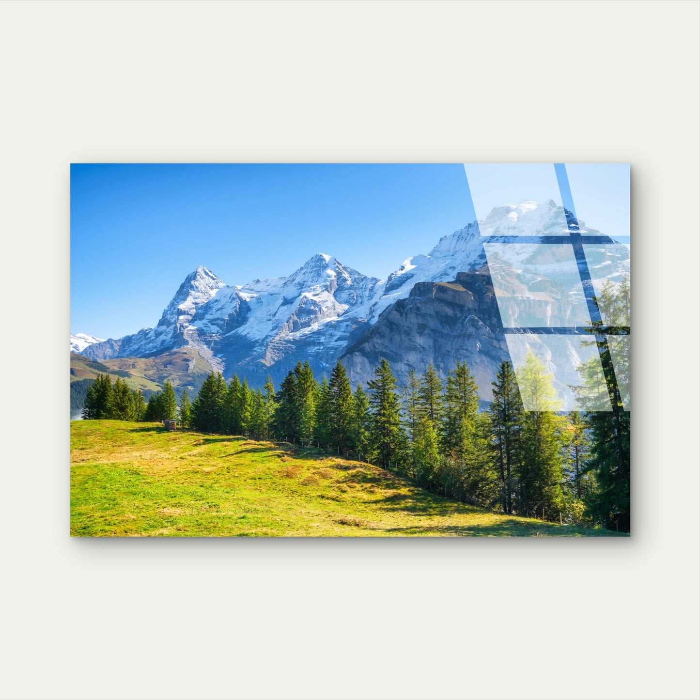 Snowy Alps Summit Meadow Pine Forest Acrylic Glass Printing Wall Art Australian Made Quality