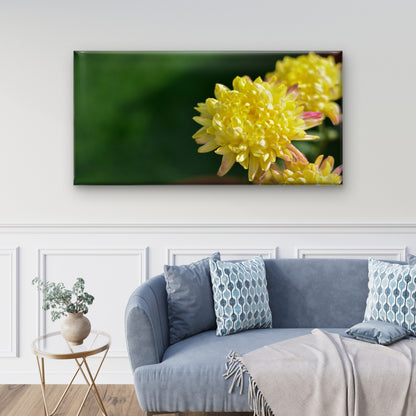 Vibrant Yellow Flowers In Sun Wall Art Canvas Office Home Room Framed 120x60cm