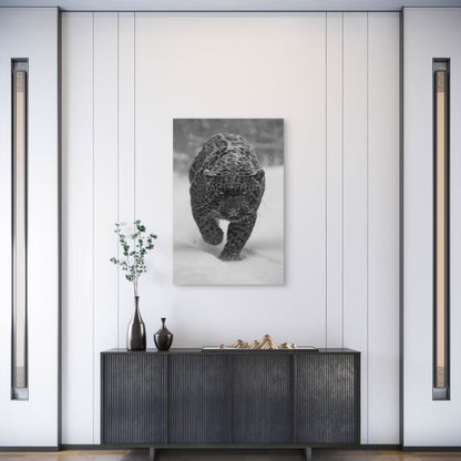 Black and White Jaguar in Nature Metal Print Ready to Hang