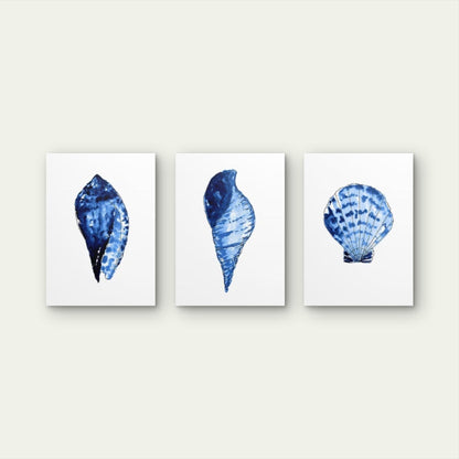 3pcs Coastal Blue Watercolor Seashell Marine Life Ocean Beach Hamptons Wall Art Set Canvas Framed 60x90cm - High Quality Print 100% Australian Made Wall Canvas Ready to Hang