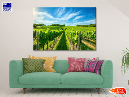 Rows of Green Plants with Sky Print 100% Australian Made - Bella Home Decor