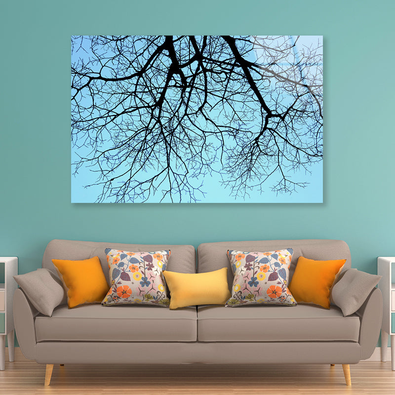 Branches of a Tree against the Sky in winter Acrylic Glass Print Tempered Glass Wall Art 100% Made in Australia Ready to Hang