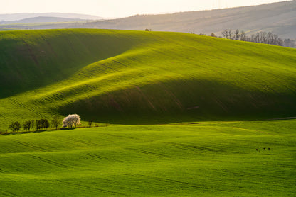 Large Green Field with a Sky and Mountain Home Decor Premium Quality Poster Print Choose Your Sizes