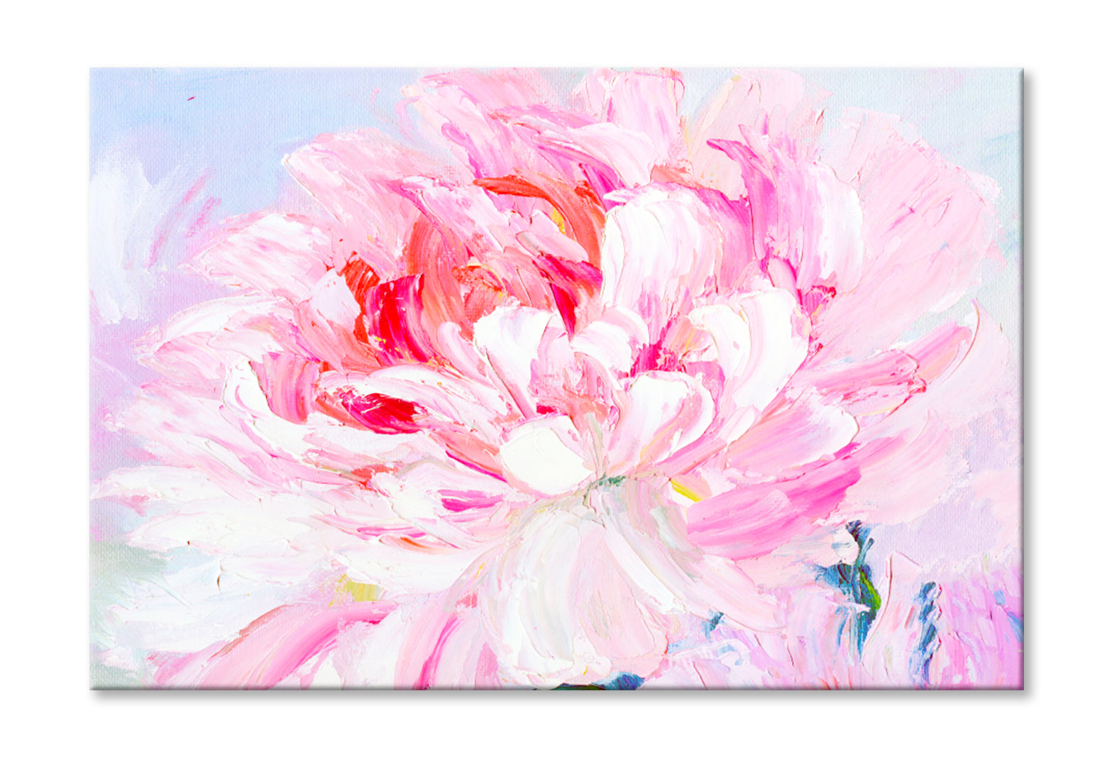 Pink and White Peony Oil Painting Wall Art Limited Edition High Quality Print Stretched Canvas None