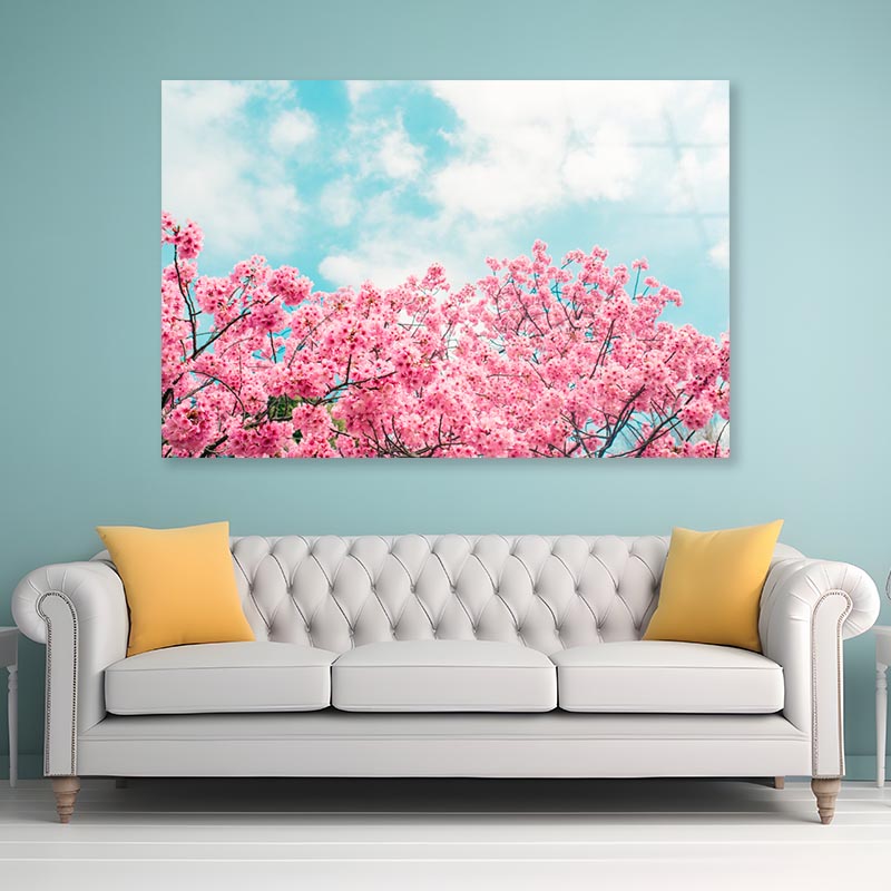 Kawazu Cherry Blossoms Tree & Sky View Acrylic Glass Print Tempered Glass Wall Art 100% Made in Australia Ready to Hang - Bella Home Decor