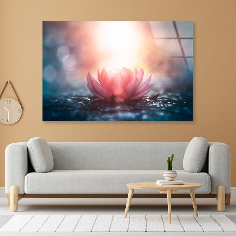 Pink Flower & Sunlight View Acrylic Glass Print Tempered Glass Wall Art 100% Made in Australia Ready to Hang