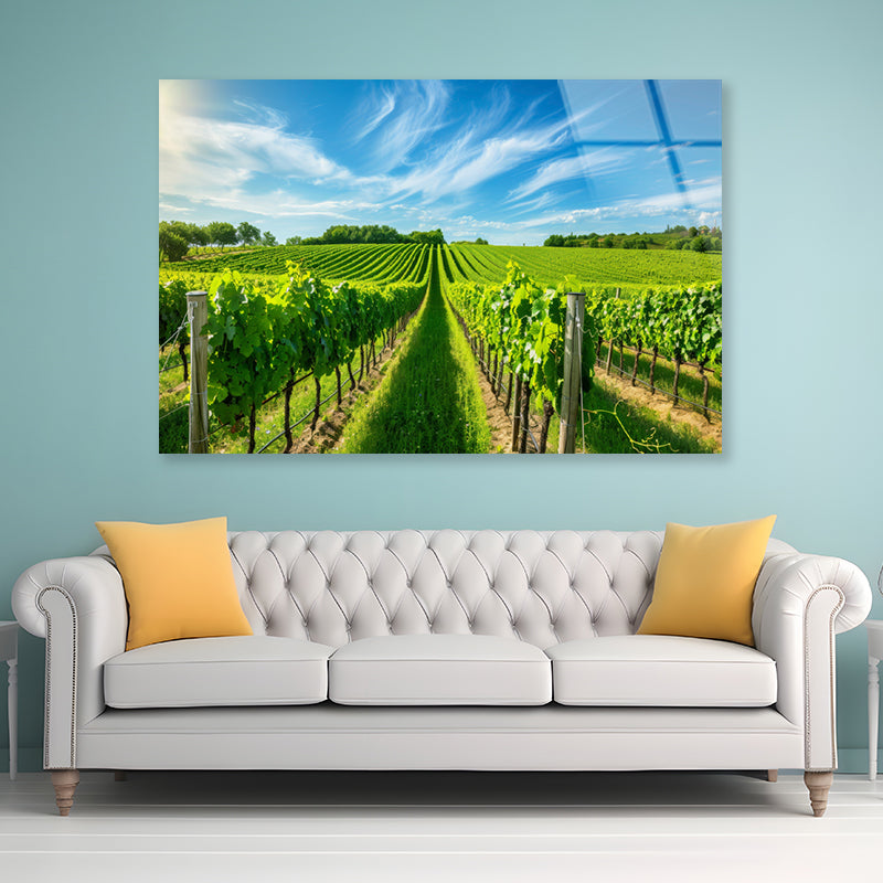 Rows of Green Plants with Sky Acrylic Glass Print Tempered Glass Wall Art 100% Made in Australia Ready to Hang - Bella Home Decor