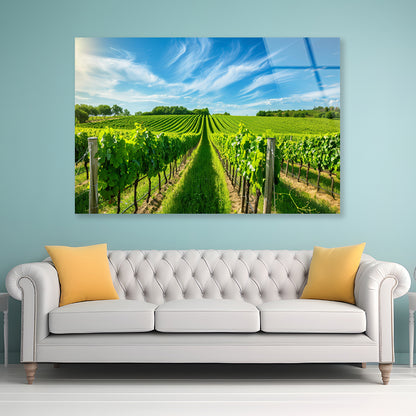 Rows of Green Plants with Sky Acrylic Glass Print Tempered Glass Wall Art 100% Made in Australia Ready to Hang - Bella Home Decor