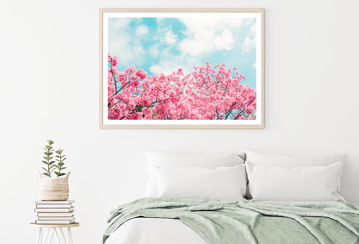 Kawazu Cherry Blossoms Tree & Sky View Home Decor Premium Quality Poster Print Choose Your Sizes