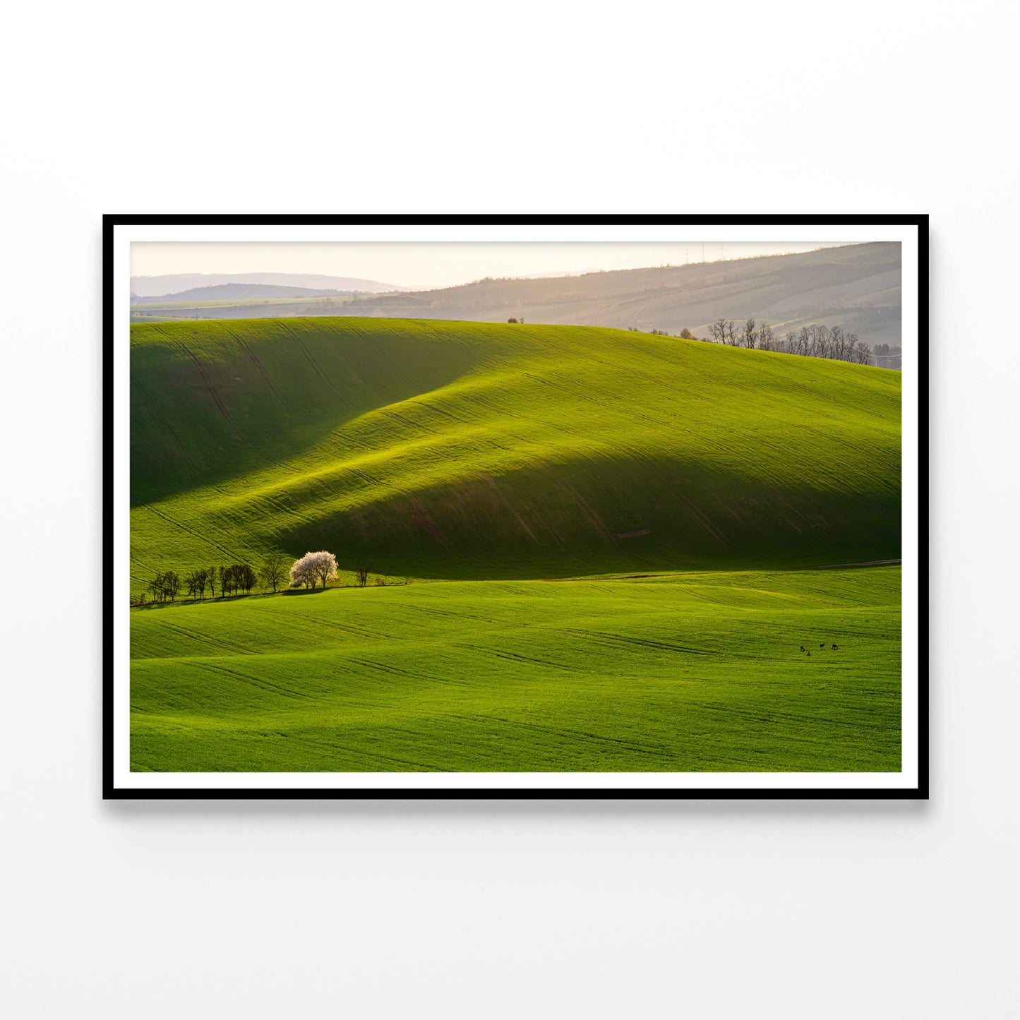 Large Green Field with a Sky and Mountain Home Decor Premium Quality Poster Print Choose Your Sizes