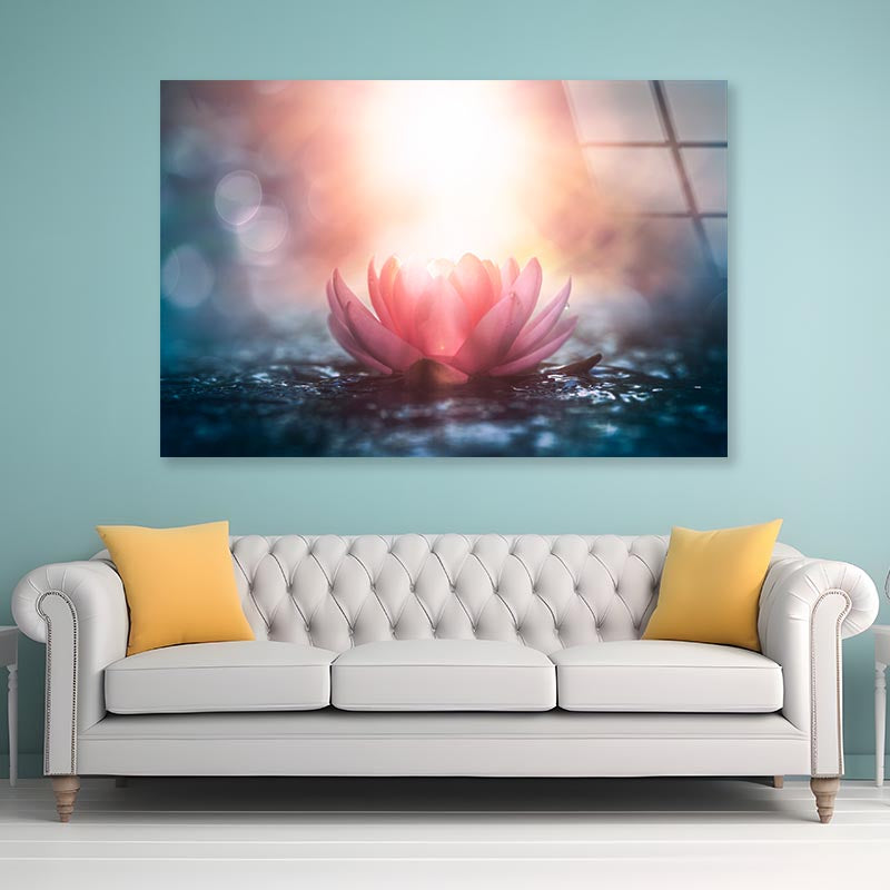 Pink Flower & Sunlight View Acrylic Glass Print Tempered Glass Wall Art 100% Made in Australia Ready to Hang