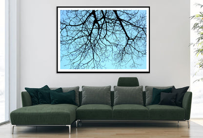 Branches of a Tree against the Sky in winter Home Decor Premium Quality Poster Print Choose Your Sizes - Bella Home Decor
