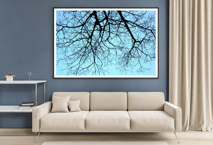 Branches of a Tree against the Sky in winter Home Decor Premium Quality Poster Print Choose Your Sizes - Bella Home Decor