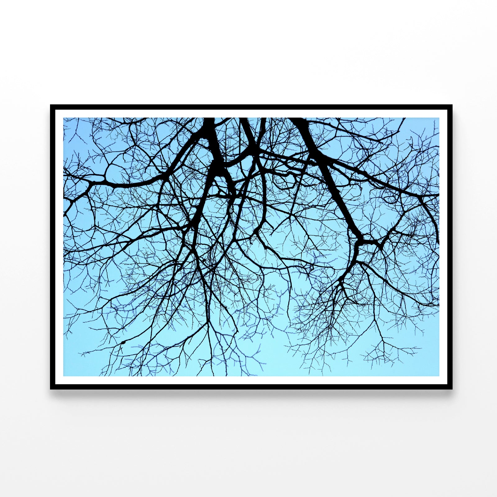 Branches of a Tree against the Sky in winter Home Decor Premium Quality Poster Print Choose Your Sizes - Bella Home Decor