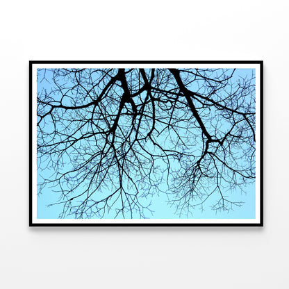 Branches of a Tree against the Sky in winter Home Decor Premium Quality Poster Print Choose Your Sizes - Bella Home Decor