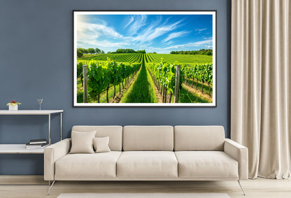 Rows of Green Plants with Sky Home Decor Premium Quality Poster Print Choose Your Sizes - Bella Home Decor