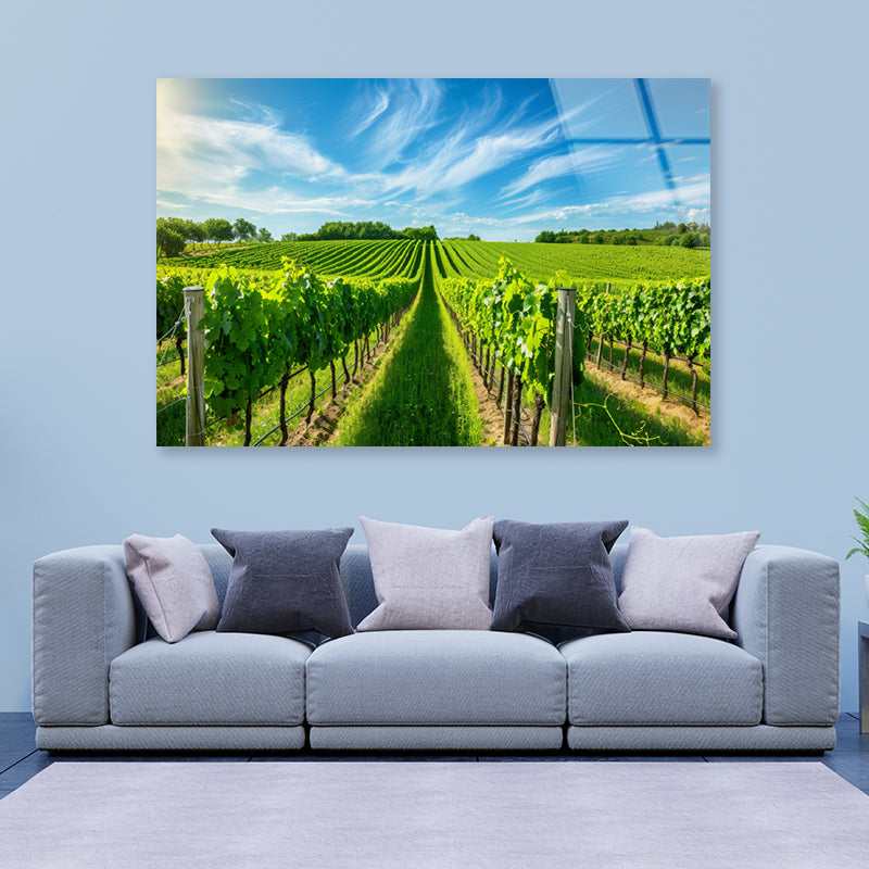 Rows of Green Plants with Sky Acrylic Glass Print Tempered Glass Wall Art 100% Made in Australia Ready to Hang - Bella Home Decor