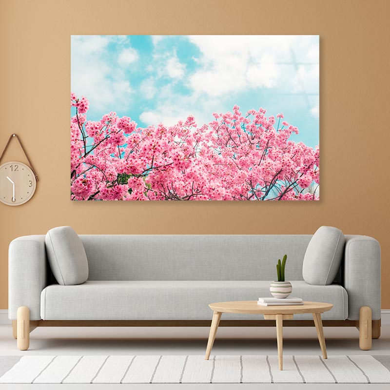 Kawazu Cherry Blossoms Tree & Sky View Acrylic Glass Print Tempered Glass Wall Art 100% Made in Australia Ready to Hang - Bella Home Decor