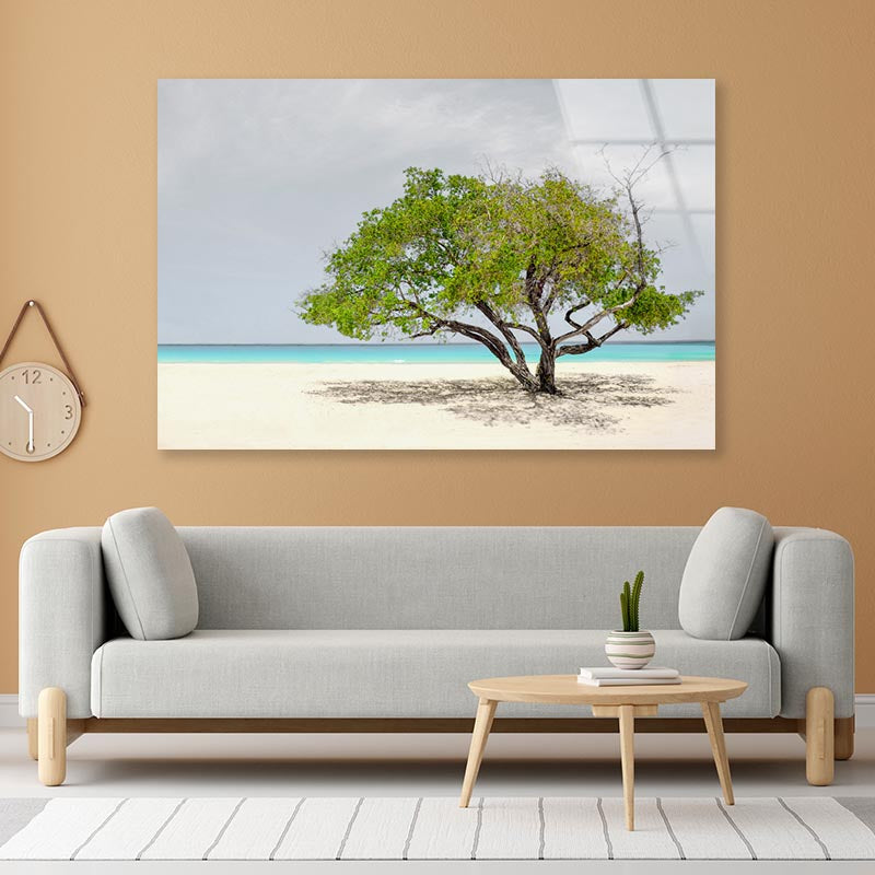 Tree In Beach Acrylic Glass Print Tempered Glass Wall Art 100% Made in Australia Ready to Hang