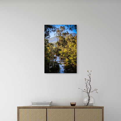 Yarra River Warburton Victoria Bushland Stream 40x60cm Metal Print Ready to Hang