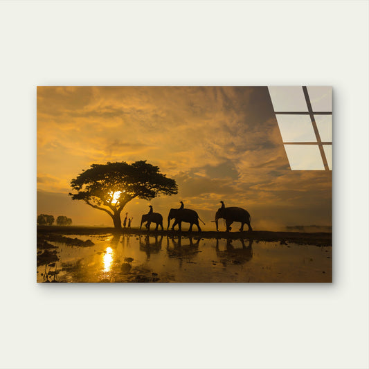 Golden Sunset Elephant Tempered Glass Printing Wall Art Australian Made Quality