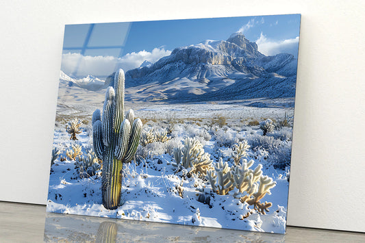Cactus in a Snowy with Sky and Mountain Acrylic Glass Print Tempered Glass Wall Art 100% Made in Australia Ready to Hang